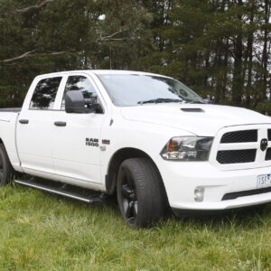 ClearView Power Boards [Pair] – Dodge RAM (ALL DS MODELS)